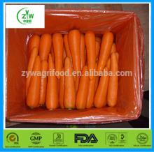 2014 bulk fresh carrot for sale
