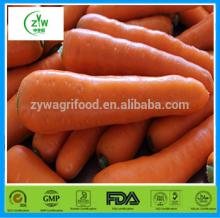 2014  bulk   fresh   carrot  china wholesale