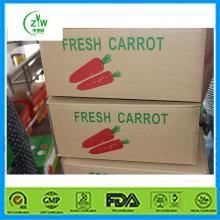 Fresh Chinese Carrot Good Taste For Sale