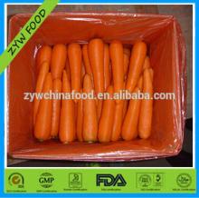 2014 New Corp China Fresh Bulk Carrot For Price