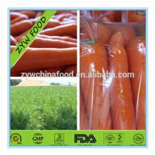 2014 New Corp China Fresh Bulk Carrot Hot Sale