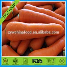 2014 High Quality New Corp China Fresh Bulk Carrot