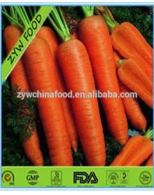 New Corp Carrot Fresh Tasty Carrot