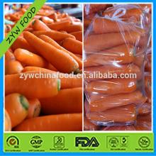 Fresh Carrot Delicious Nutricious Fresh Yellow Carrot