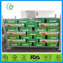 2014  Fresh   Chinese   Carrot  - The Most Popular In China