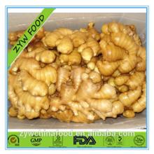 2014 High Quality New Crop Chinese Fresh Ginger Prices Exporter in Shandong of China