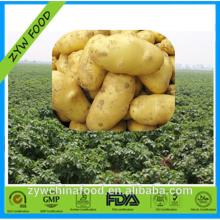 2014 New Crop Low Prices High Quality Supplier of  Chinese   Fresh   Potato 