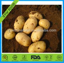 New Crop Prices of Chinese Fresh Potato