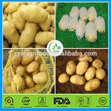 2014 wholesale potatoes bulk best price for export