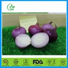 2014 fresh red onion new season price per ton from china