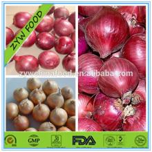 2014 New Corp Wholesale Fresh Onion Red Onion / Yellow Onion Hot Sale!!