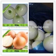 2014 Export New Fresh Yellow Onion in Bulk