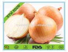 2014 Export Fresh Yellow Onion in Bulk