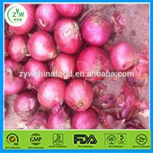 2014 New Export Bulk Red Onion Fresh Onion Most Popular
