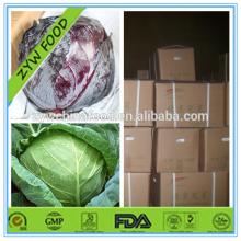 2014 New Harvested Fresh Cabbage / Wholesale Cabbage Enjoying Great Popularity in China