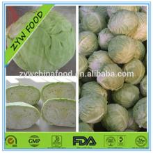 Fresh Green/Red Cabbage New Corp Cabbage Hot Sale