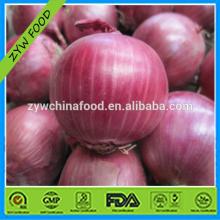 2014 Fresh Red Onion Chinese  Bulk  Onion