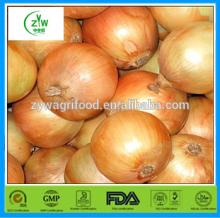 2014 fresh yellow onion