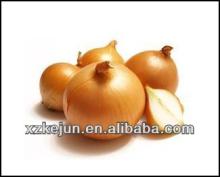  2013  new  crop  round  yellow   onion s for exporting