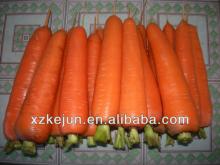 2013 new crop S M L 2L Fresh Carrot