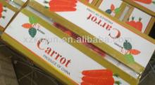 Clean 2013 new crop 150-350g fresh carrot of high quality