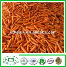 high grade fresh yellow carrots