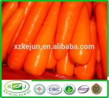 Chinese  Fresh   Carrots  For  Sale 
