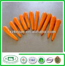 new crop fresh yellow carrot