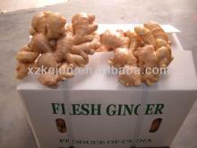 2013 150g  whole   dry   ginger  with 10kg carton package