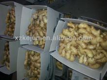 2013 150g half dry ginger with 10kg carton package