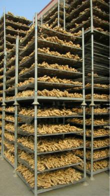 2013 200g fresh ginger and half dry ginger with 10kg carton package