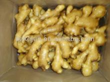 2013 Chinese 200g fresh ginger and half dry ginger with 10kg carton package