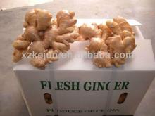 2013 fresh and half-dried ginger with good quality