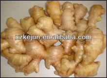 Chinese damp dry ginger for exporting