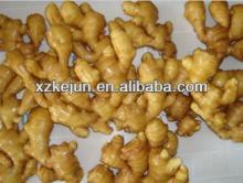 Best price fresh ginger