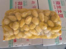 Chinese  2013  Hot sale  new   crop  fresh  potato 