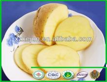 2013 new crop fresh potato/holland type