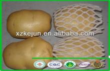 2013 new crop fresh potato with lower price