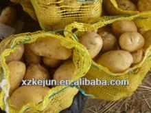 Fresh potato- holland type