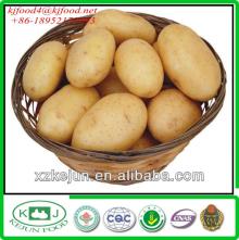 2013 new crop exporting grade Holland potato