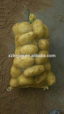Sweet fresh Holland potato for exporting