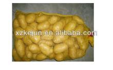 Fresh Holland potato packed by mesh bag