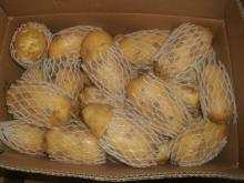 Hot sale 2013 new crop fresh potato Exporter