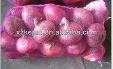 2013 Fresh Red Onion with 20kg mesh bag package