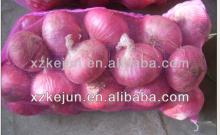 2013 5-7cm fresh red onion hot sale