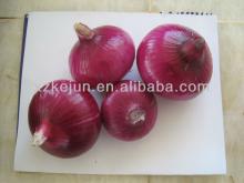 10kg mesh bag package of fresh onion