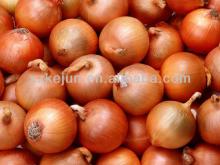 2013 Chinese Fresh Red Onion On Sale