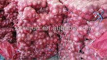 Hot 2013 crop fresh red onion on sale