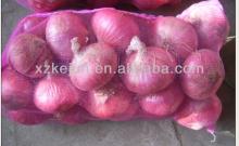 2013 7-9cm fresh red onion on sale