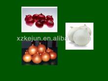 Chinese 2013 5-7cm Fresh Red Onion Exporter
